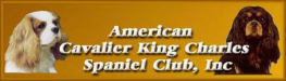 American Cavalier King Charles Spaniel Club, Inc.
